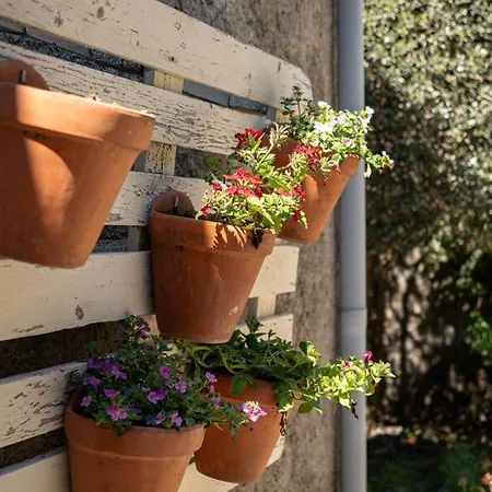 Apartament Rural Per A 6 - *